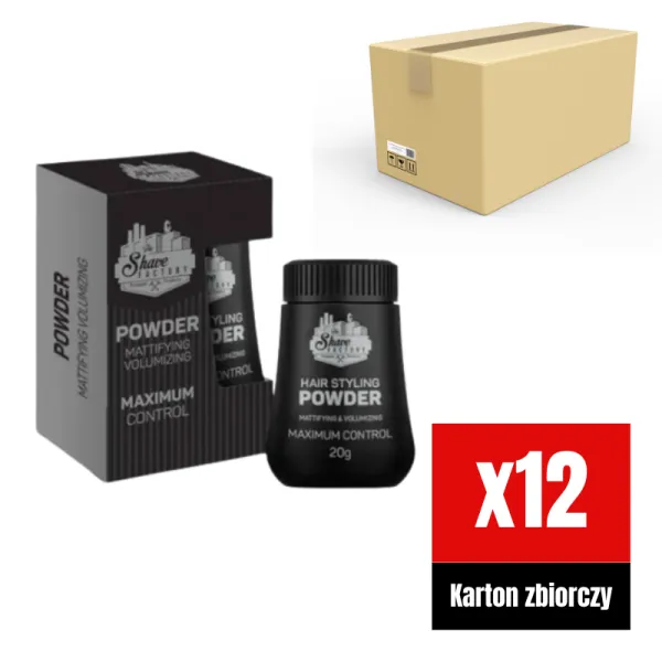 The Shave Factory - Maximum Control Hair Styling Powder - Puder do stylizacji włosów KARTON 12x20g