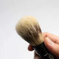 STA-PED-GOL-DZIK-1_4