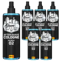 TSF-AFT-COL-02-ATL-PAKIET6_0